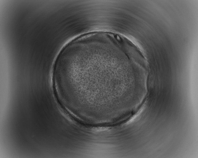 X0000091910846200709261714