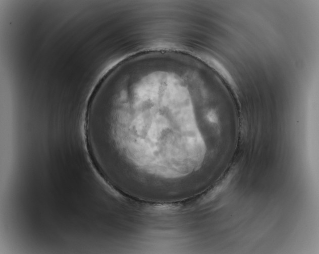 X0000091910847200709261714