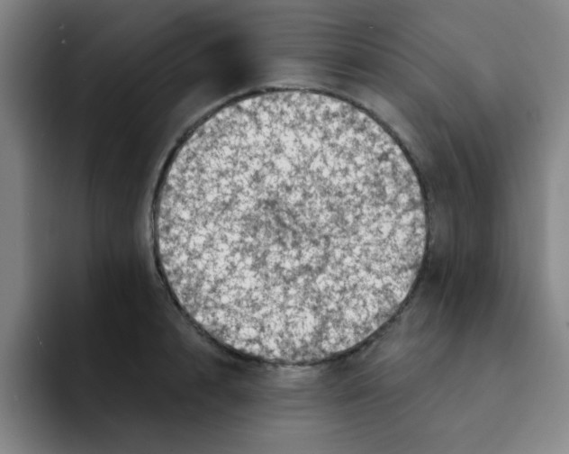 X0000091910848200709261714