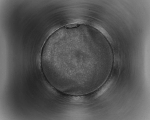 X0000091910850200709261714