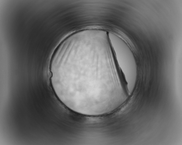 X0000091910852200709261714