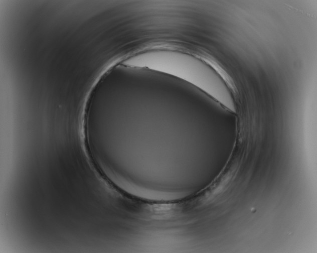 X0000091910853200709261714