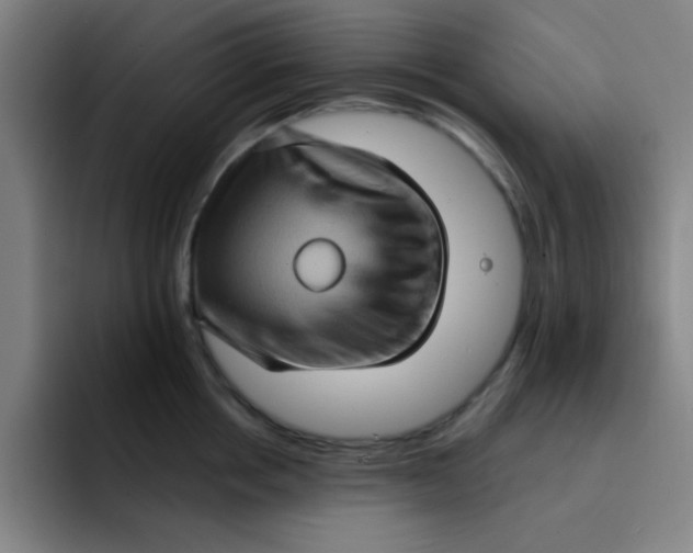 X0000091910858200709261714