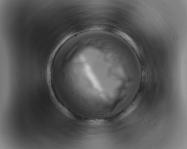 X0000091910859200709261714