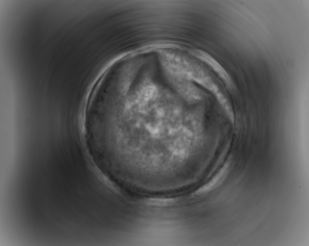 X0000091910860200709261714