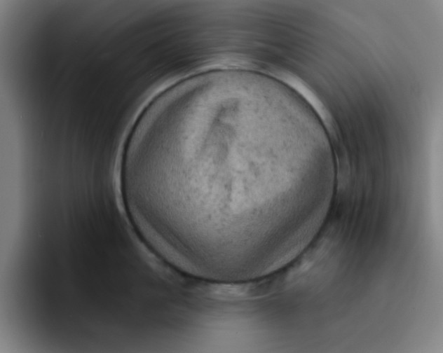 X0000091910861200709261714