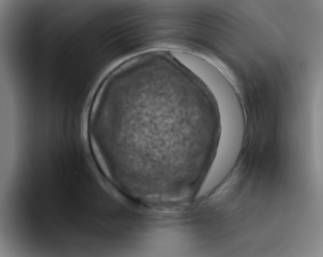 X0000091910862200709261714