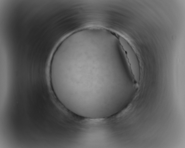 X0000091910864200709261714