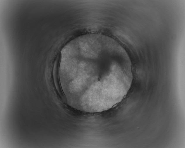 X0000091910865200709261714