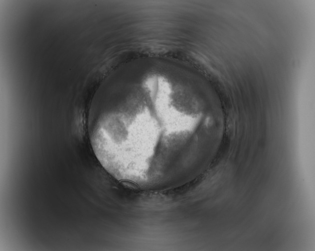 X0000091910866200709261714