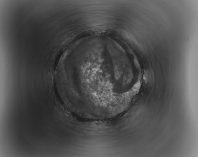 X0000091910867200709261714