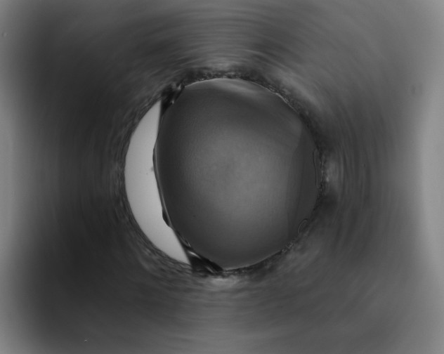 X0000091910868200709261714