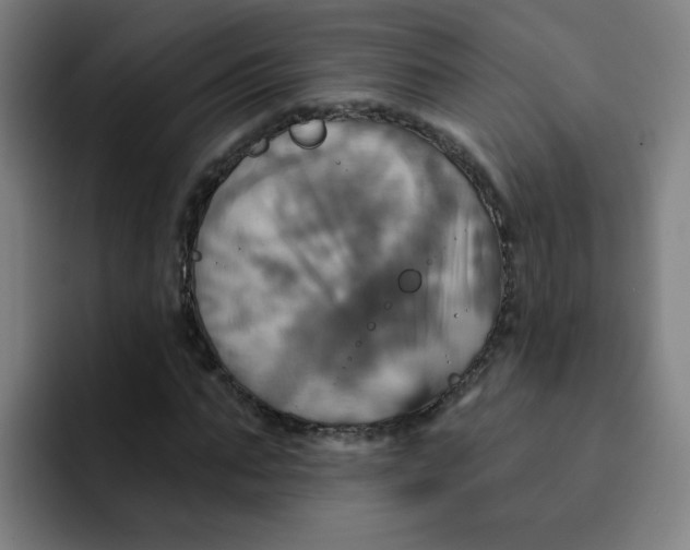 X0000091910871200709261714