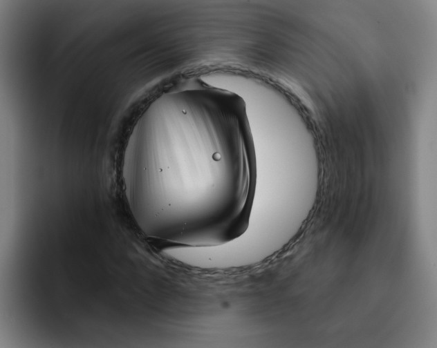 X0000091910872200709261714