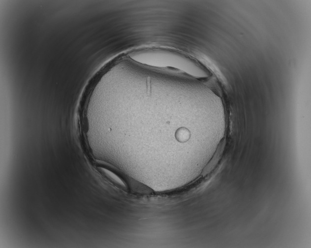 X0000091910876200709261714