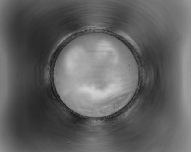 X0000091910878200709261714