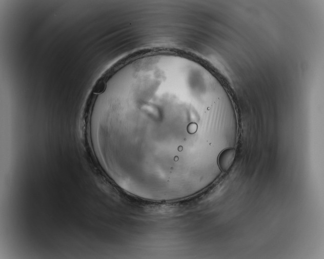 X0000091910879200709261714