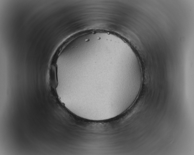 X0000091910880200709261714