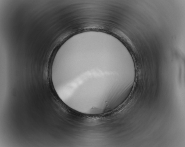 X0000091910882200709261714