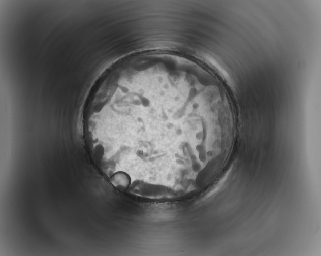 X0000091910883200709261714