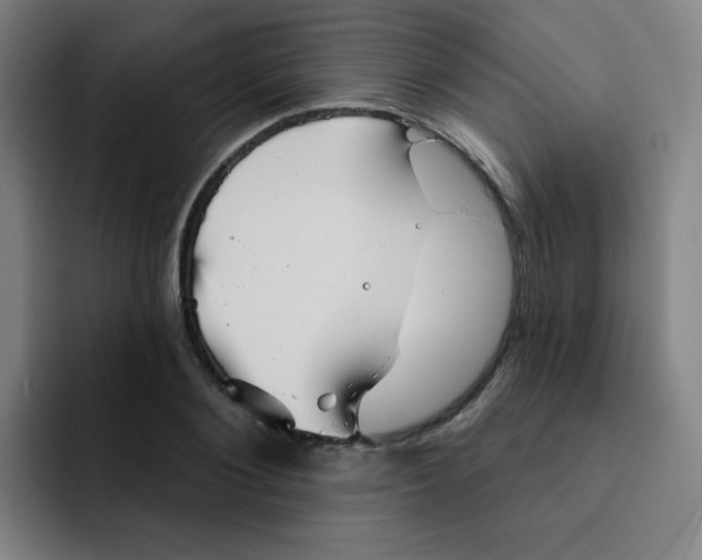 X0000091910884200709261714