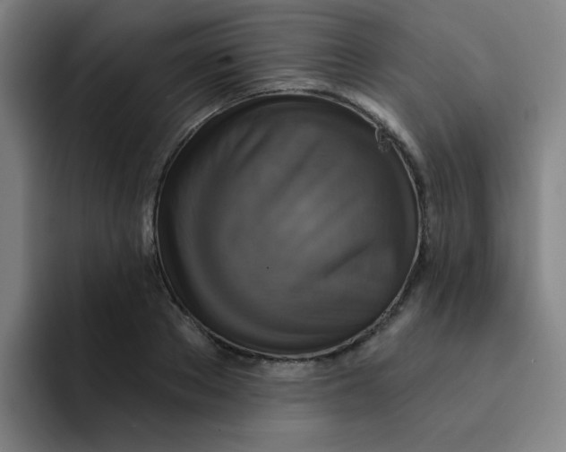 X0000091910889200709261713