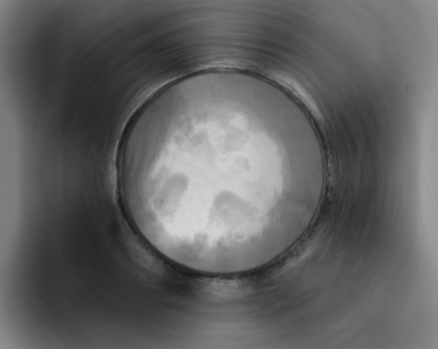 X0000091910890200709261713