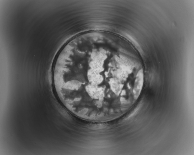 X0000091910891200709261713