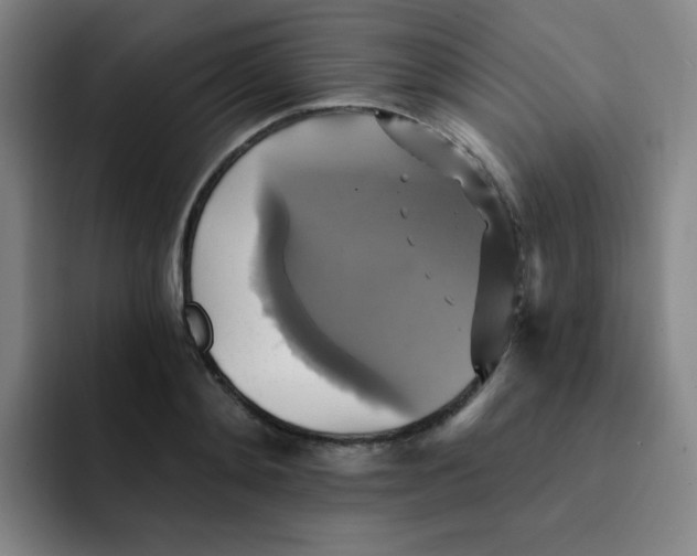 X0000091910892200709261713