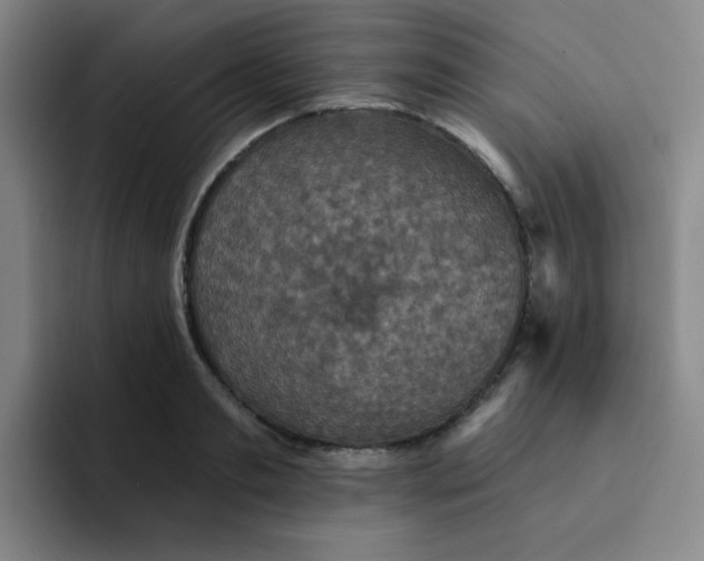 X0000091910893200709261713