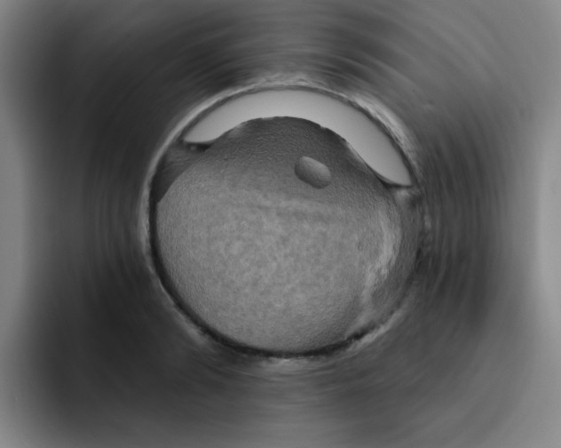 X0000091910894200709261713