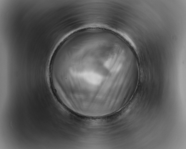 X0000091910895200709261713