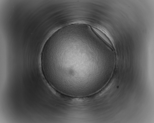 X0000091910898200709261713