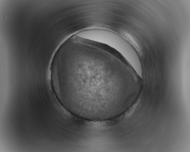 X0000091910900200709261713