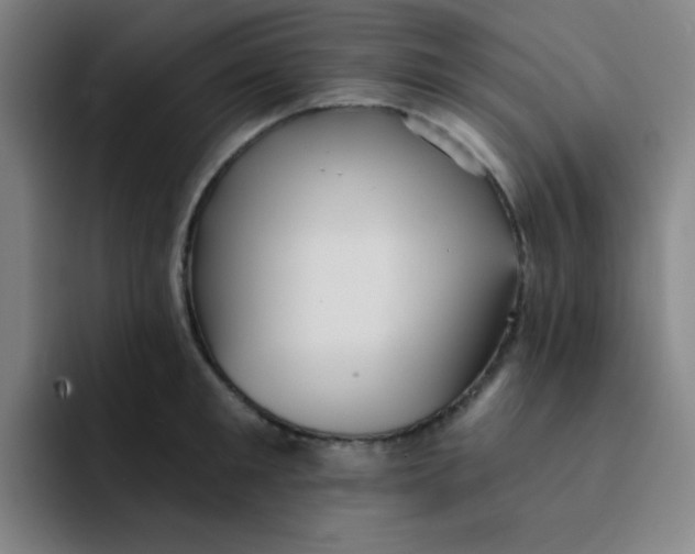 X0000091910901200709261713