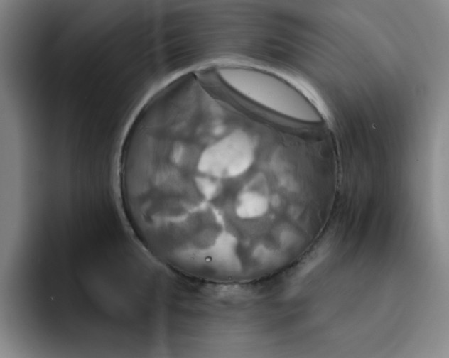 X0000091910903200709261713