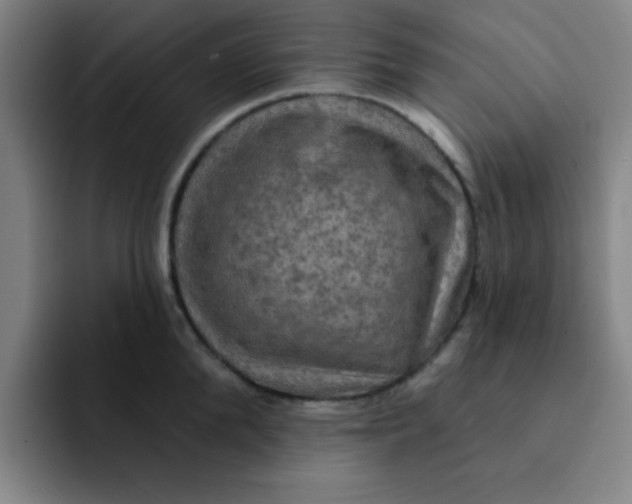 X0000091910904200709261713