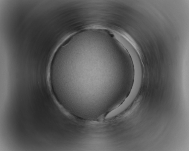 X0000091910909200709261713