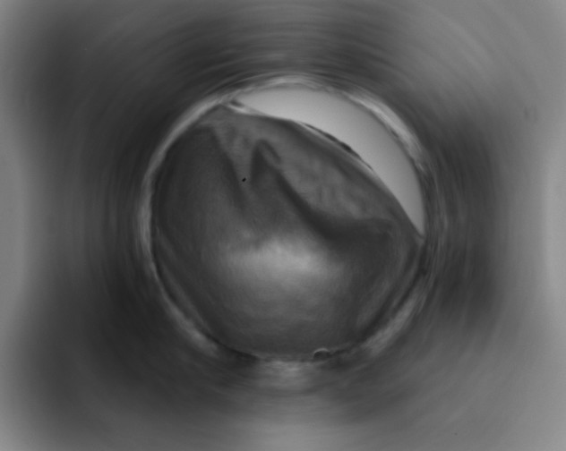 X0000091910910200709261713