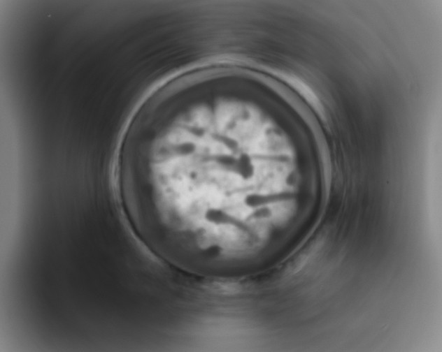 X0000091910911200709261713