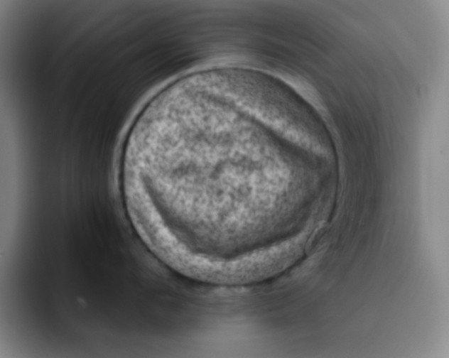 X0000091910912200709261713