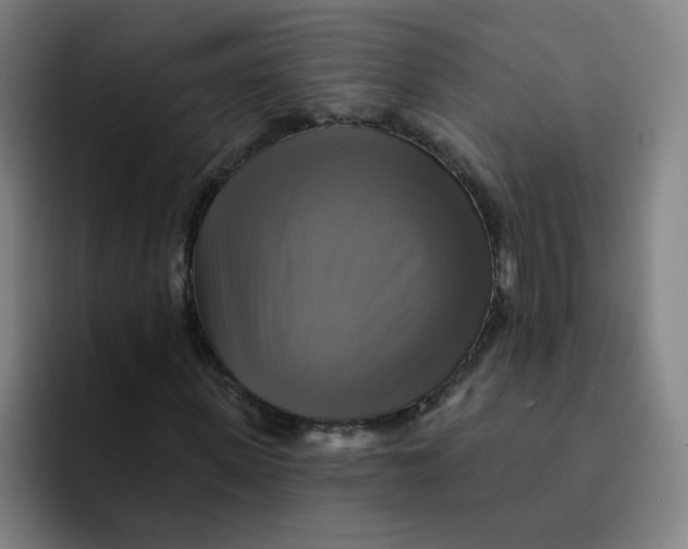 X0000091910915200709261713