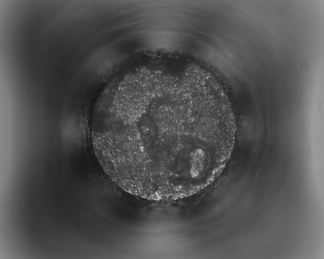 X0000091910918200709261713