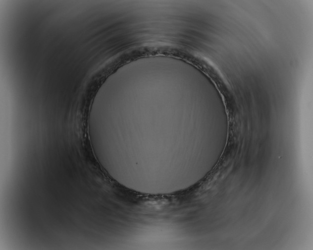 X0000091910919200709261713