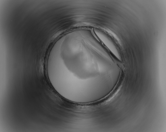 X0000091910921200709261713