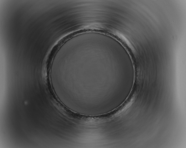 X0000091910923200709261713