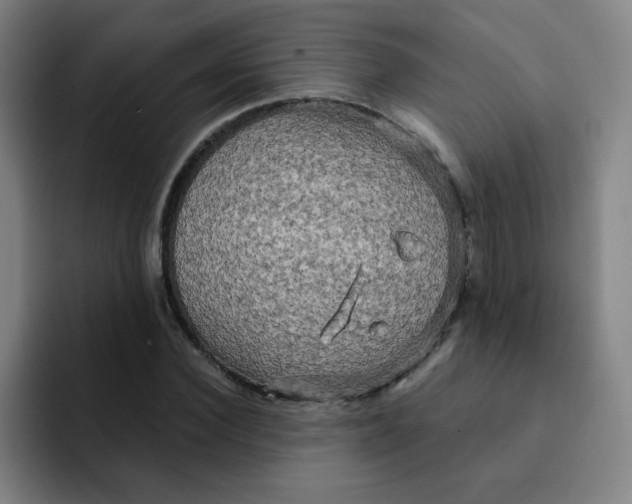 X0000091910924200709261713