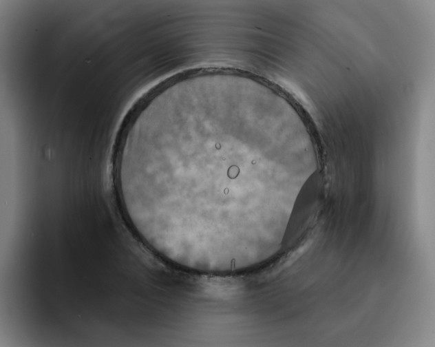 X0000091910928200709261713