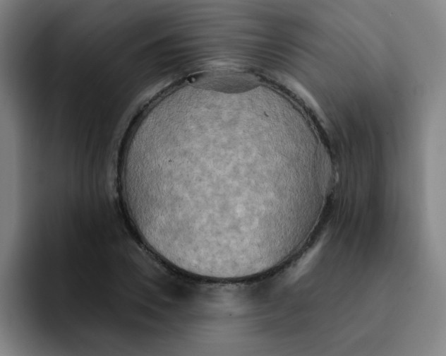 X0000091910930200709261713