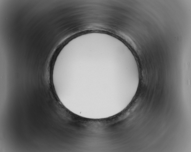 X0000091910931200709261713